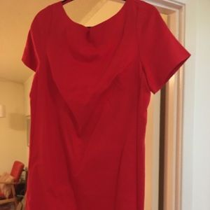 Mauve Shift Dress in Red